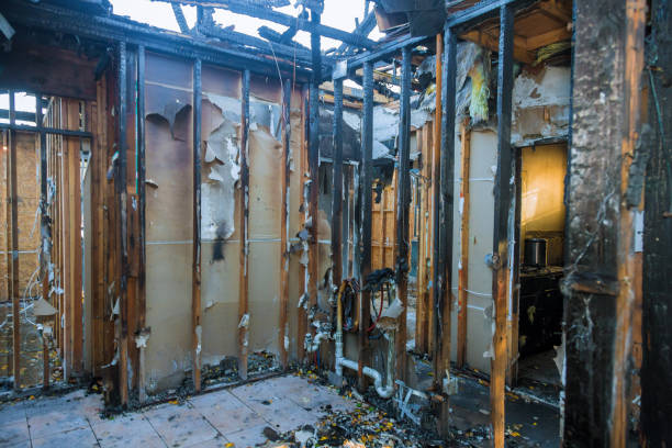 Professional Fire Damage Removal technician working in Colville, WA